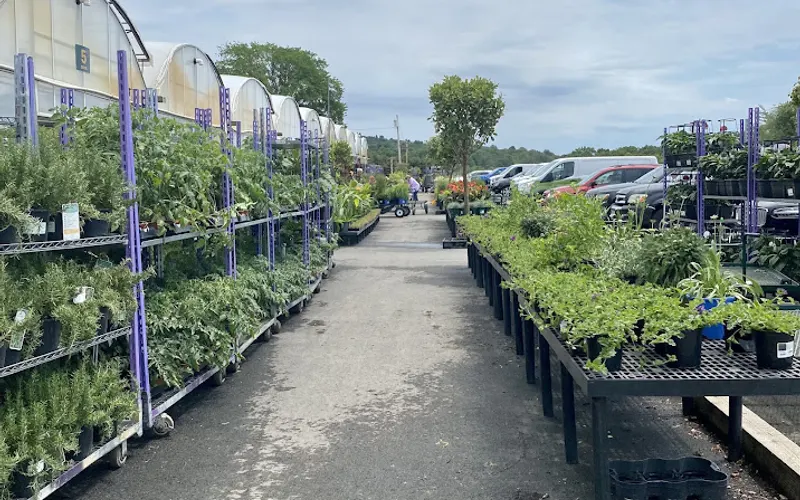 Cavicchio Greenhouses, Inc. — Wholesaler