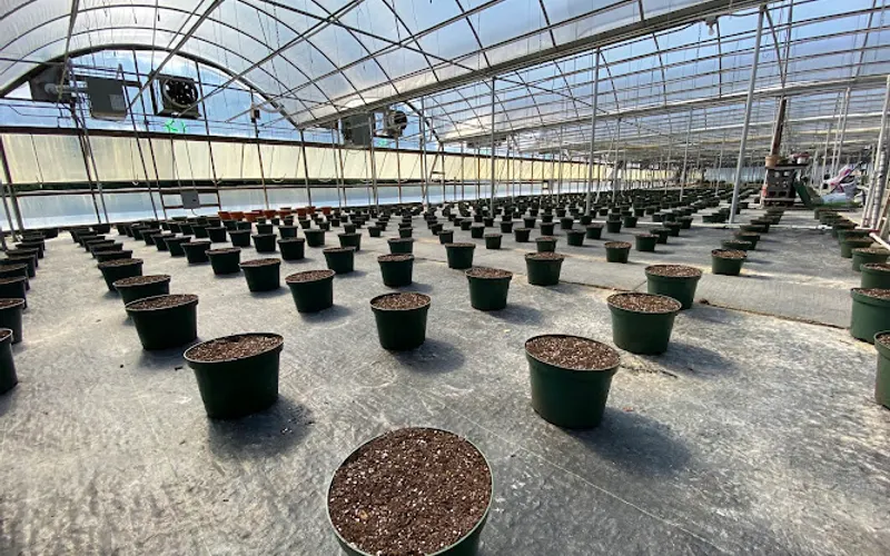 Brafford's Greenhouses — Garden center