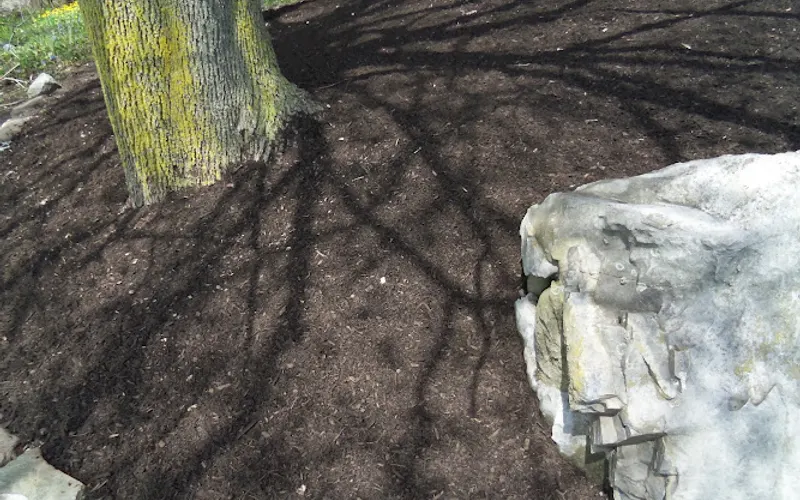 Custom Topsoil — Topsoil supplier