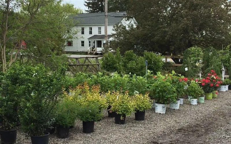 Spruce Ridge Landscape & Garden Center — Florist
