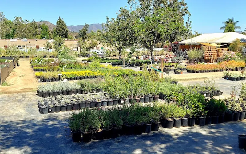 Rancho Valhalla Nursery — Plant nursery