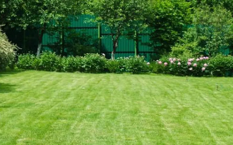 Martin Foster's Lawn Care — Lawn care service