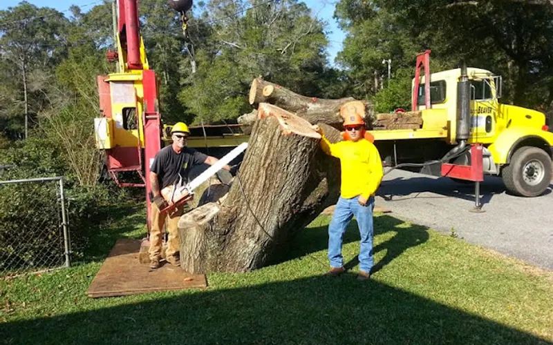 Eager Beaver Professional Tree Care — Tree service