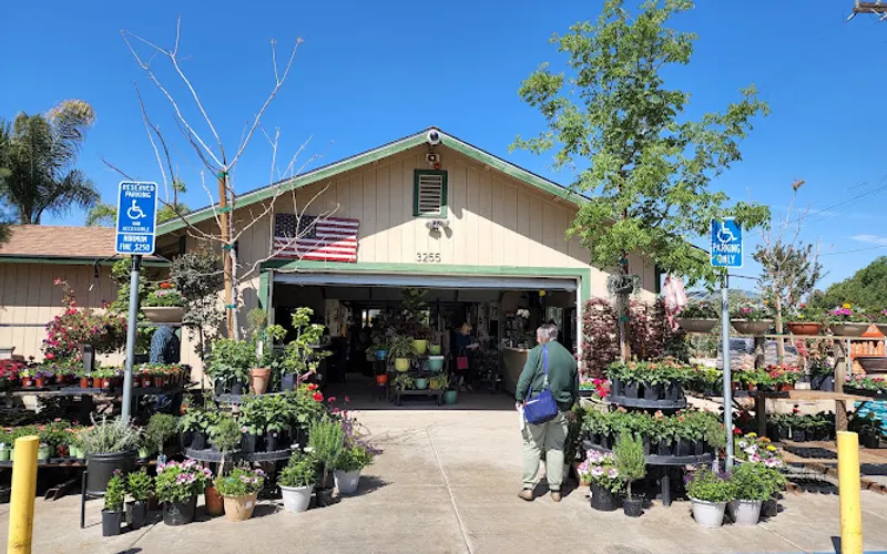 Bolles Nursery Landscape — Landscaper