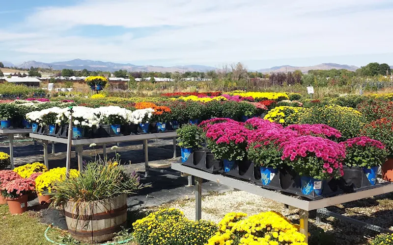 Loveland Garden Center & Nursery — Garden center