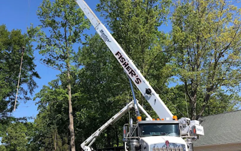 Fisher's Tree & Crane Service — Tree service