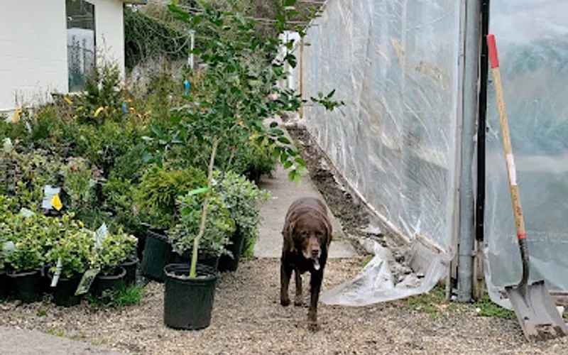 Johnson's Garden Center & Florist — Garden center