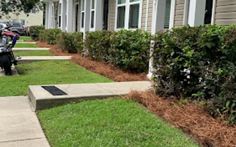 Sanchez Pine Straw LLC.- pine straw — Landscaping supply store