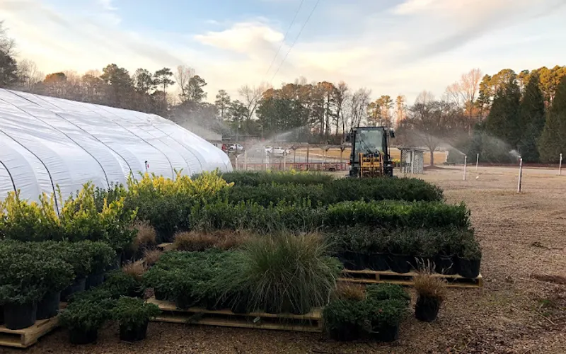 Southern Oak Nursery & Supply Co. (wholesale To Trade Only) — Landscaping supply store