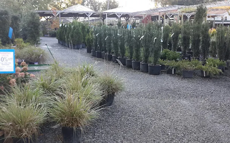 King's Gardens Garden Center — Landscaper