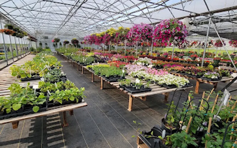 Raintree Garden Center — Garden center