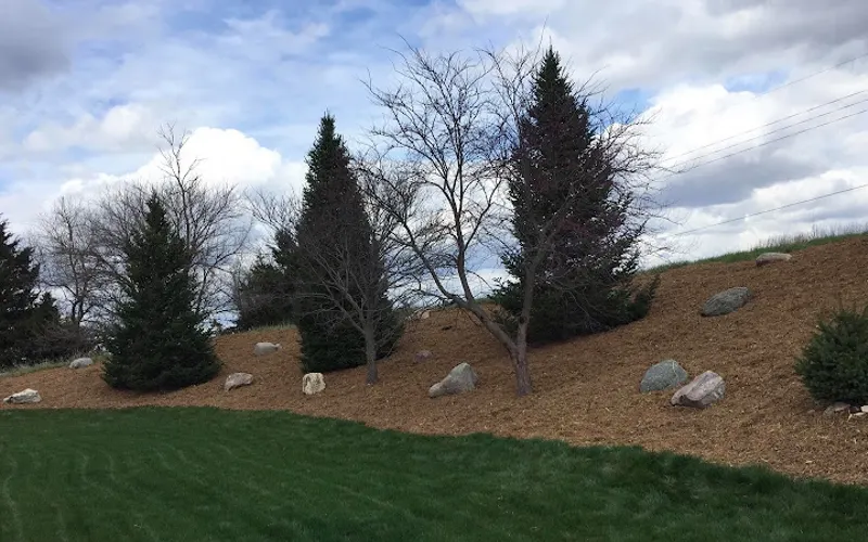 Tri-Point Tree & Landscaping LLC — Landscaper