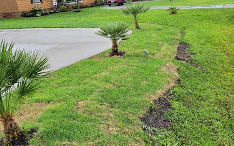 Turf Masters Sod Farms — Landscaper