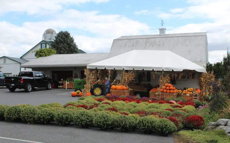 Hoover's Farm Market & Greenhouses — Mulch supplier