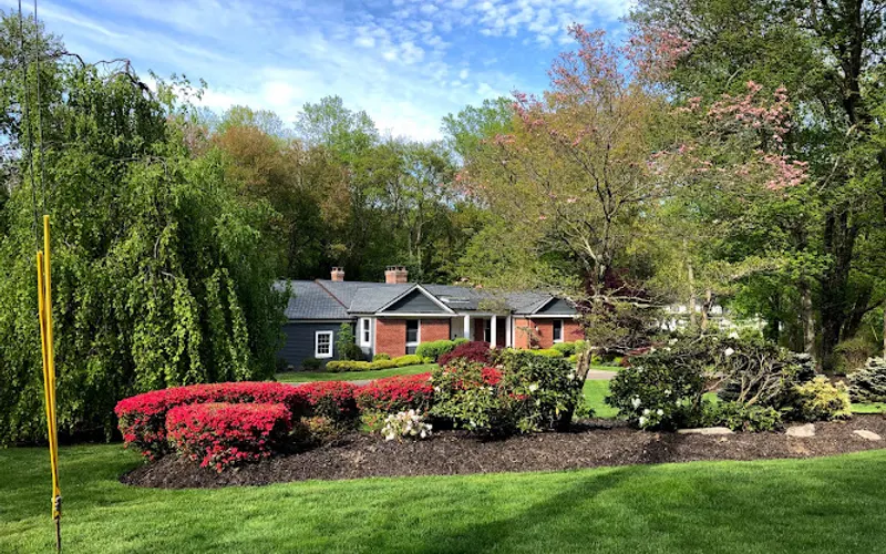 Professional Master Landscaping LLC — Landscaper