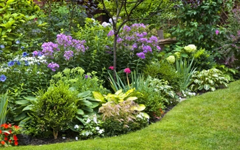 California Soil Products — Mulch supplier