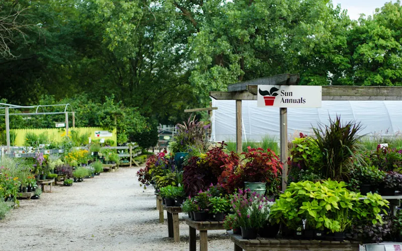 The Growing Place Garden Center — Garden center