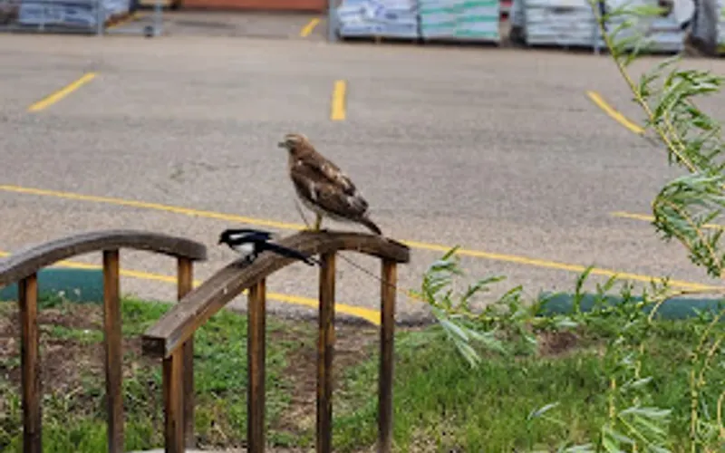 O'Toole's Garden Center — Garden center