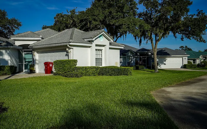 Home Pest Control Tampa Your Green Team — Pest control service
