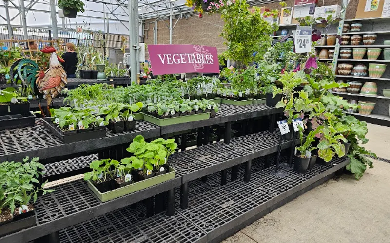Wilco Farm Store — Animal feed store