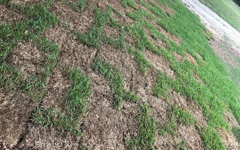 Fort Worth Grass & Stone — Landscaping supply store