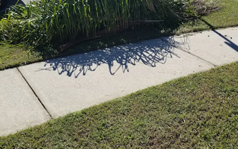 Papa Green Corp. Lawn Care — Lawn care service