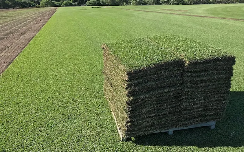 Wekiva Farms Inc — Plant nursery
