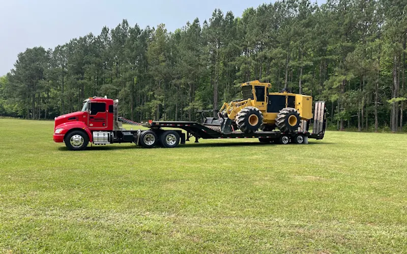 Clayton Logging and Mulching — Forestry service