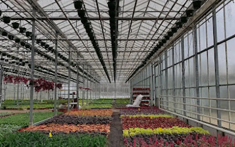 Greenstreet Gardens of Virginia — Garden center