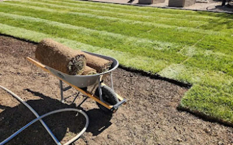 The Sod Guy — Sod supplier