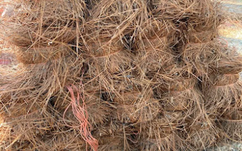 Randy's Pine Straw LLC — Landscaping supply store