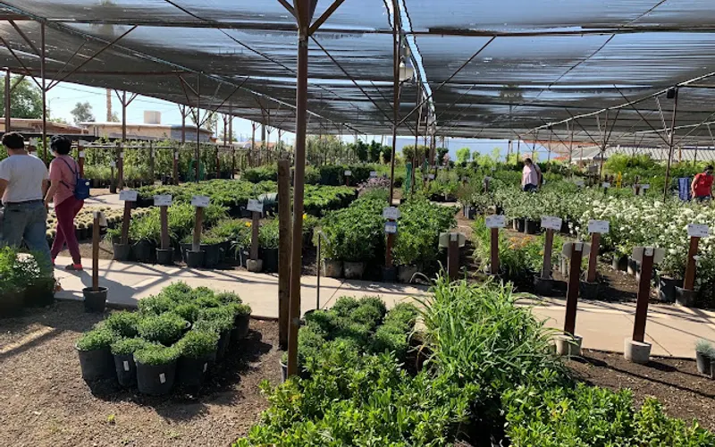 Star Nursery Garden and Rock Centers — Garden center