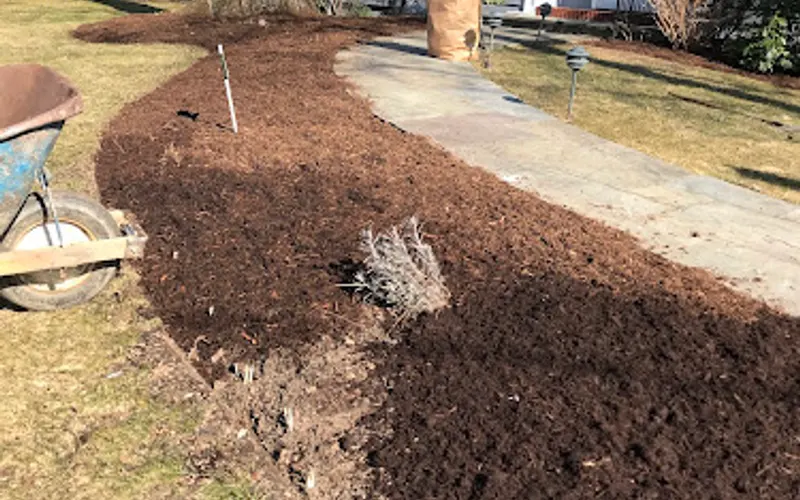 Nature’s Cradle Nursery & Landscape Design — Landscaper