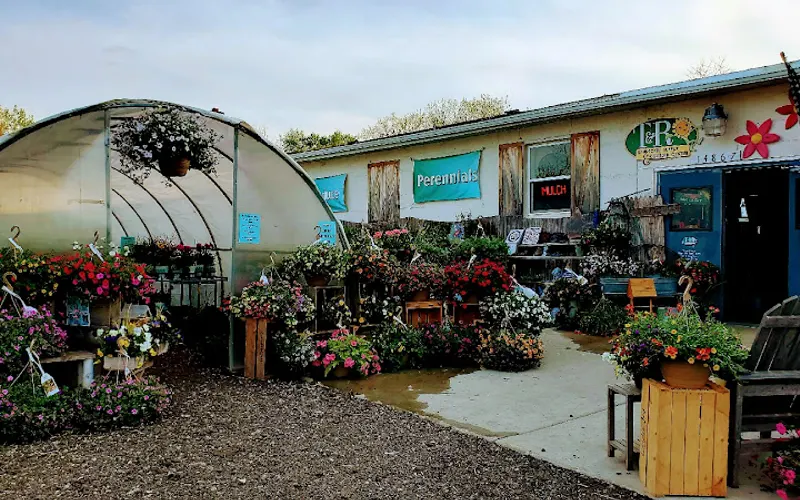 T & R Garden Center and Gift Shop — Garden center