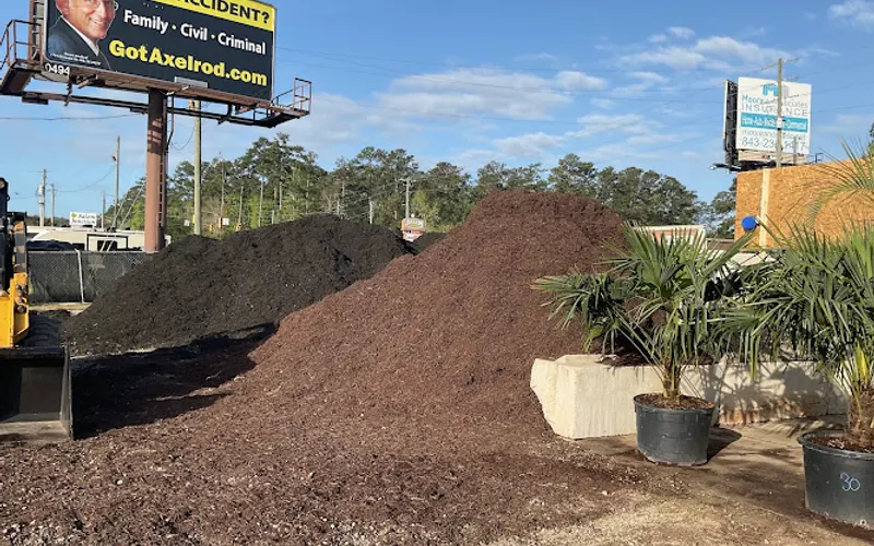 Coastal Mulch & Palms — Landscaping supply store