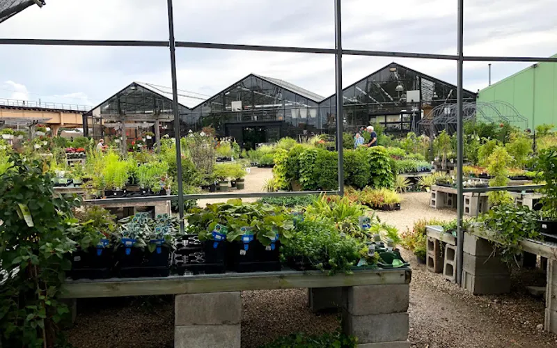 City Escape Garden Center and Design Studio — Garden center