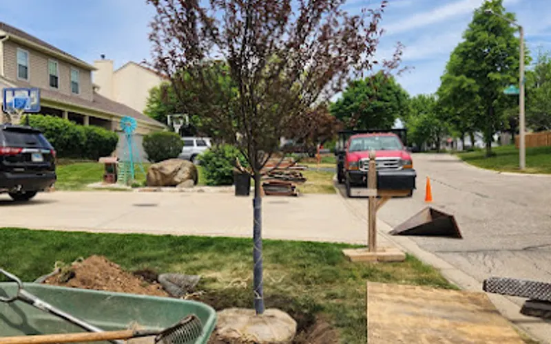 Pine View Nursery — Plant nursery
