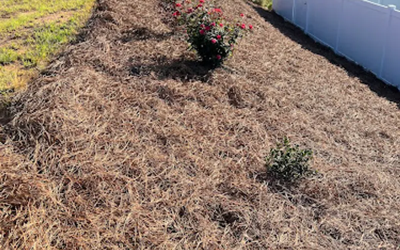 CJ Mulch and More — Topsoil supplier