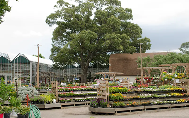 McDonald Garden Center — Landscaper