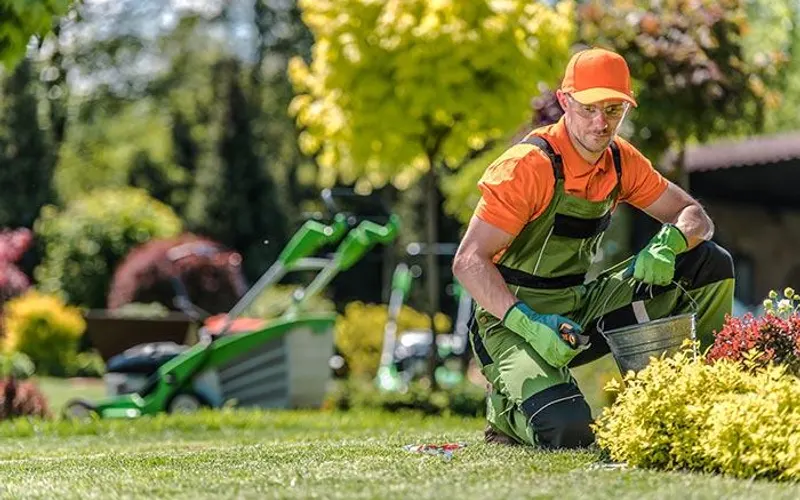 LWS Landscape and snow removal — Landscaper