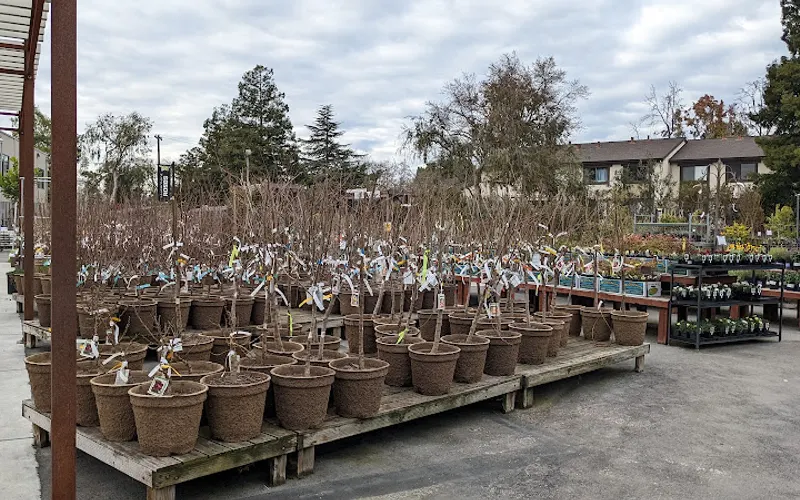 SummerWinds Nursery — Landscaping supply store