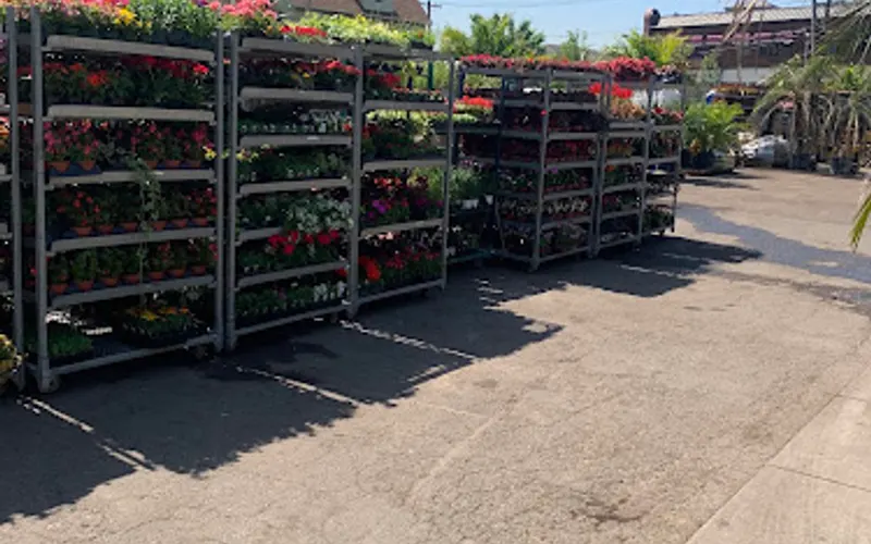 D&G Landscaping Inc. — Landscaper