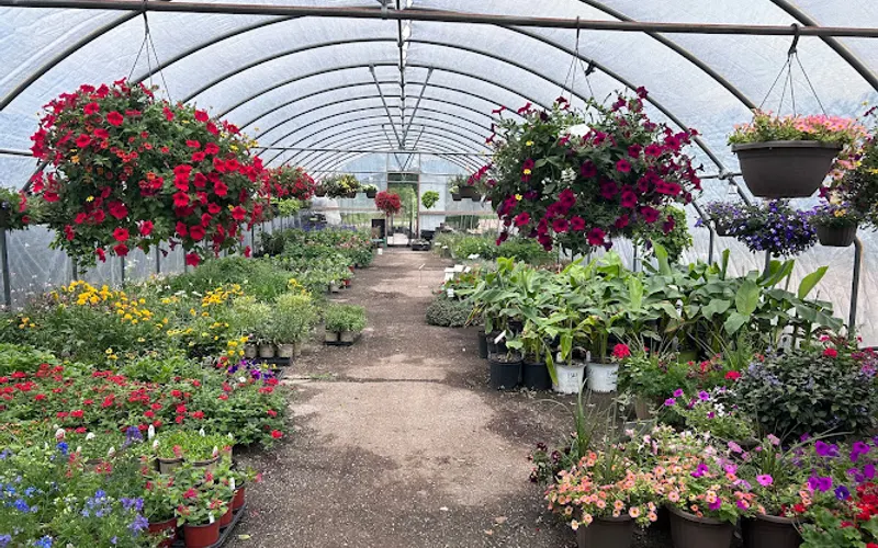 Naturescape LLC — Landscaper