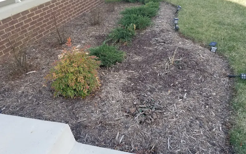 Brielle's Landscaping & Lawn Mowing Services — Lawn care service