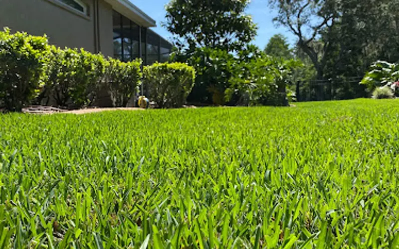 SOD-X — Sod supplier