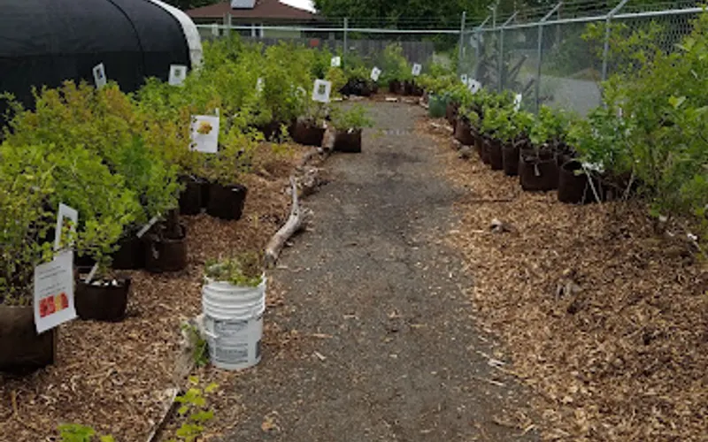 Eastside Urban Farm & Garden Center — Garden center