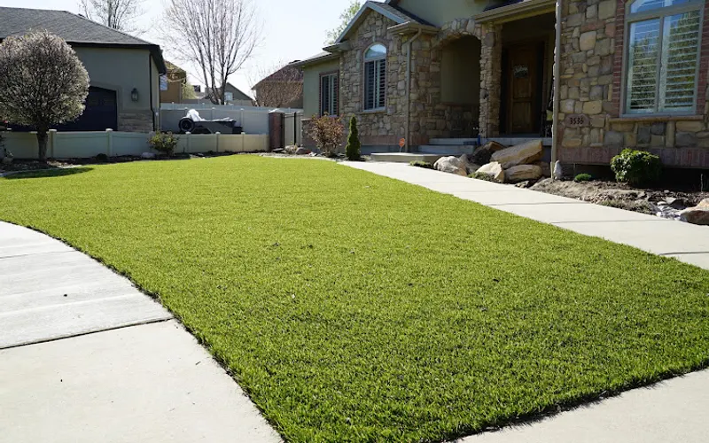 FRDM Turf — Artificial plant supplier