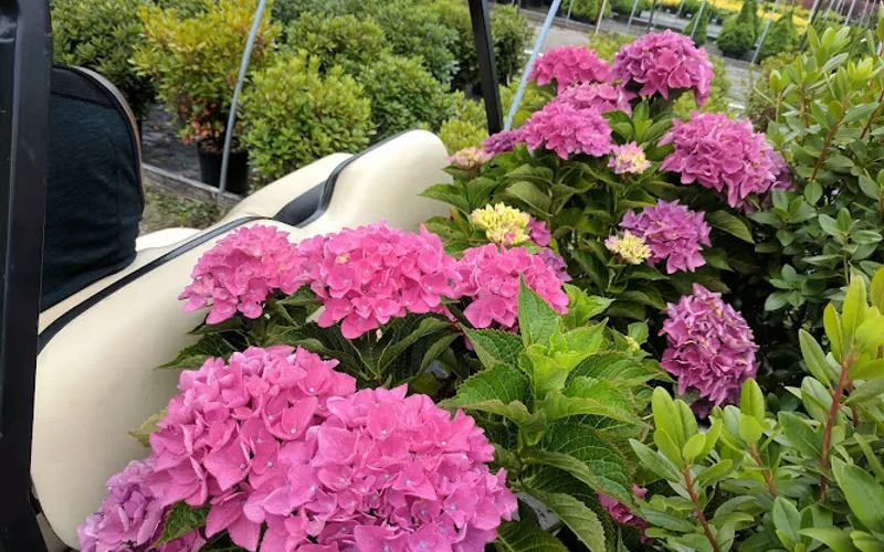 Edgewood Nursery — Landscaping supply store