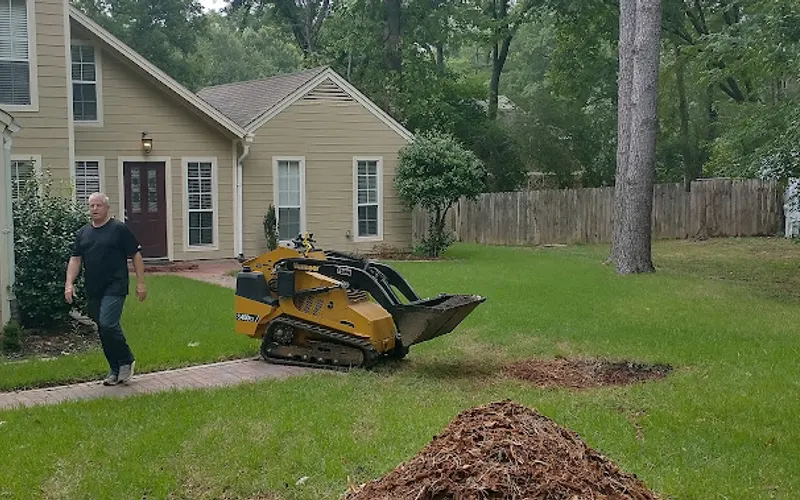 Stumpty Dumpty Stump Removal — Landscaper