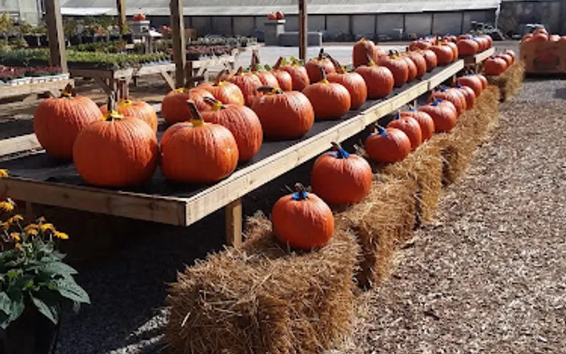 Lansing Gardens — Garden center